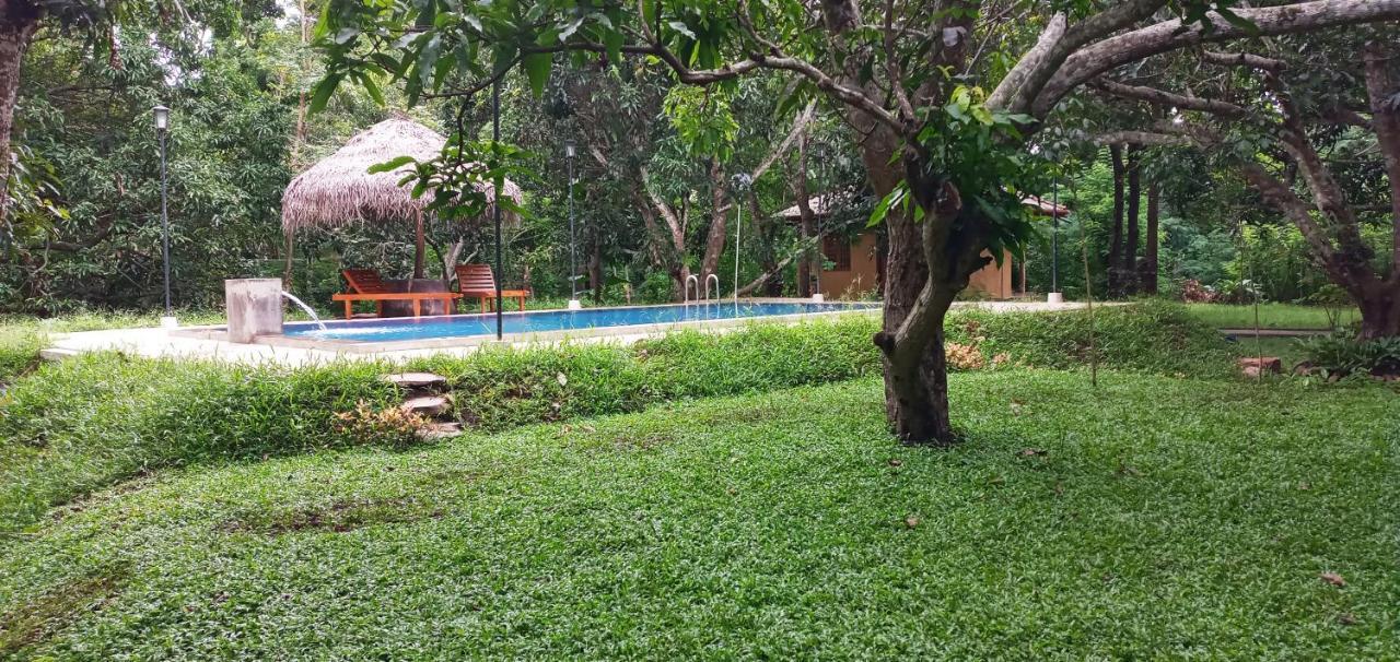 Bissa Villa Habarana Exterior photo