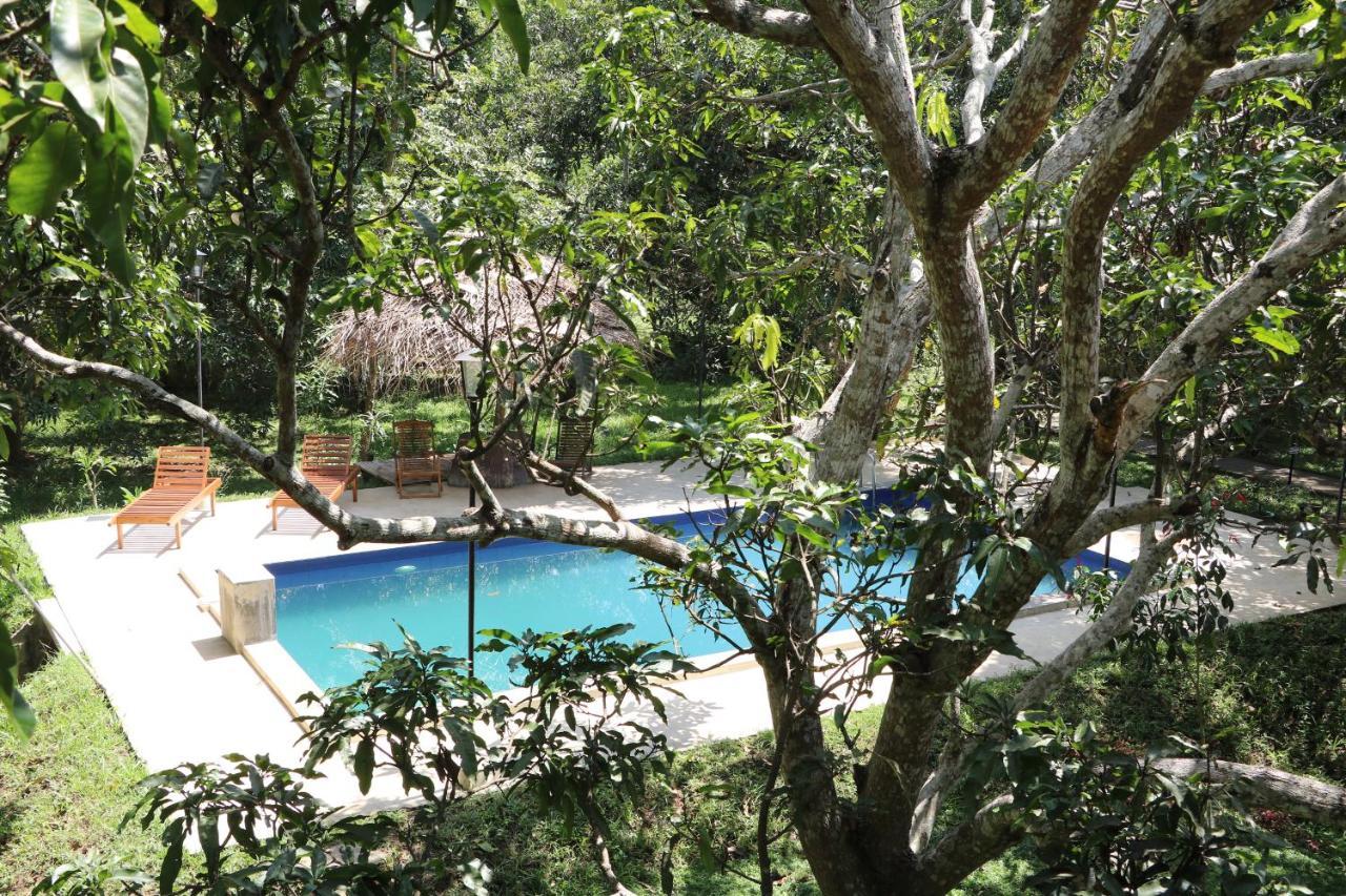 Bissa Villa Habarana Exterior photo