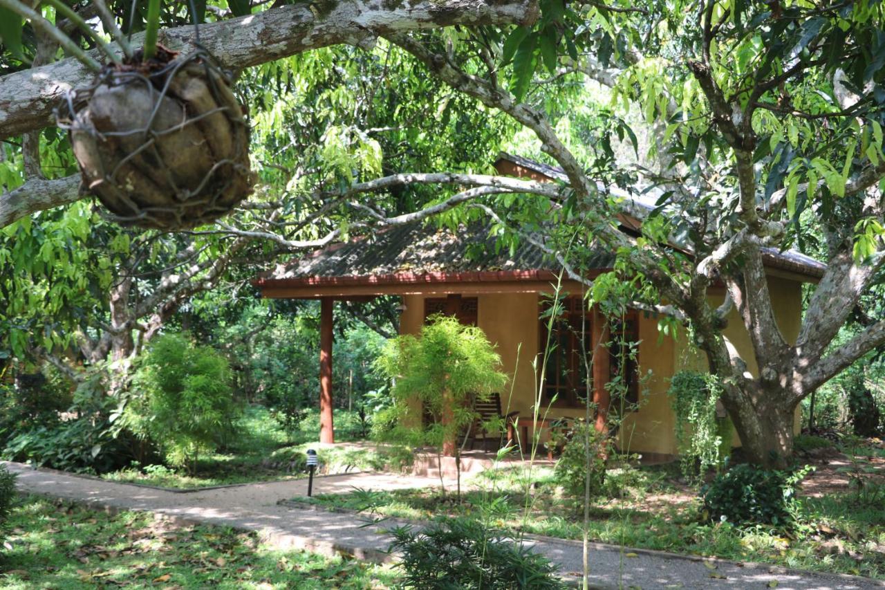 Bissa Villa Habarana Exterior photo