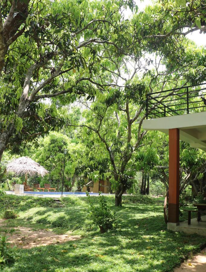 Bissa Villa Habarana Exterior photo