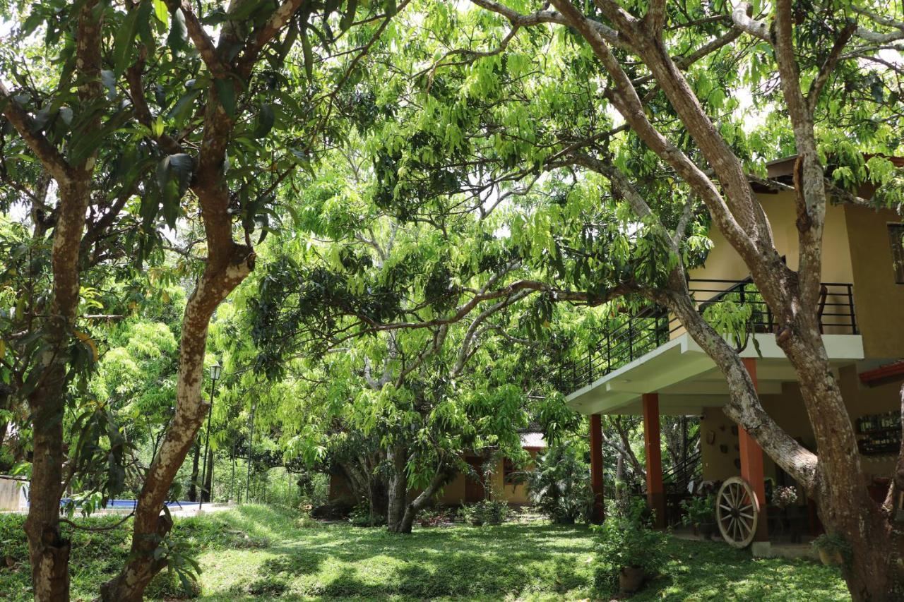 Bissa Villa Habarana Exterior photo