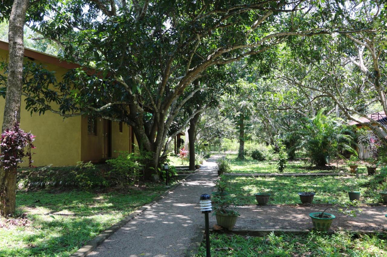 Bissa Villa Habarana Exterior photo