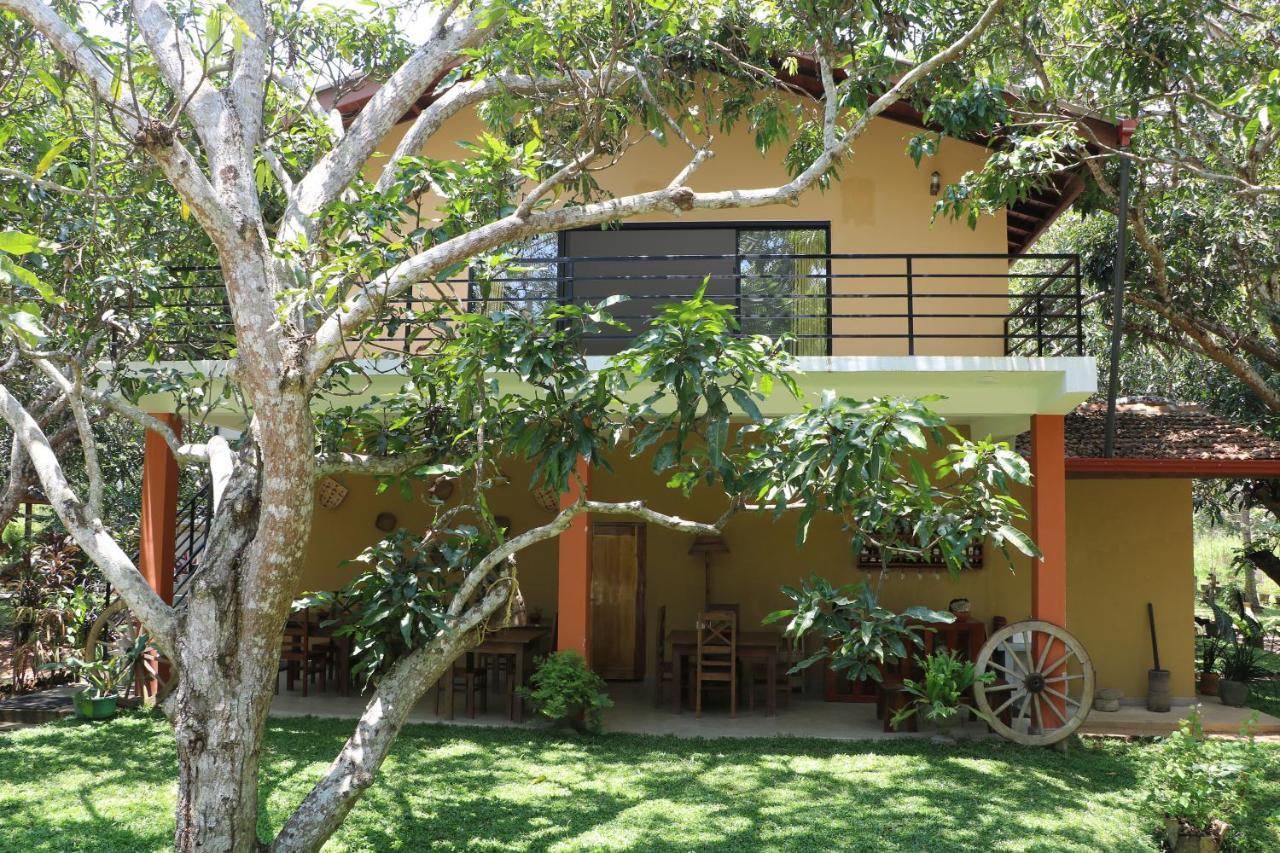 Bissa Villa Habarana Exterior photo