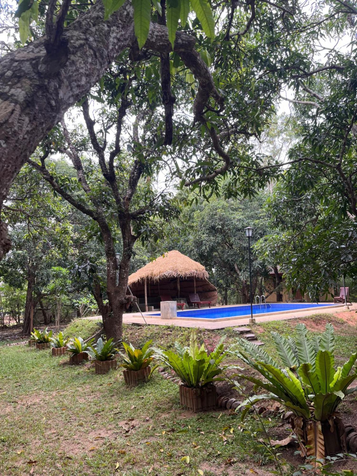 Bissa Villa Habarana Exterior photo