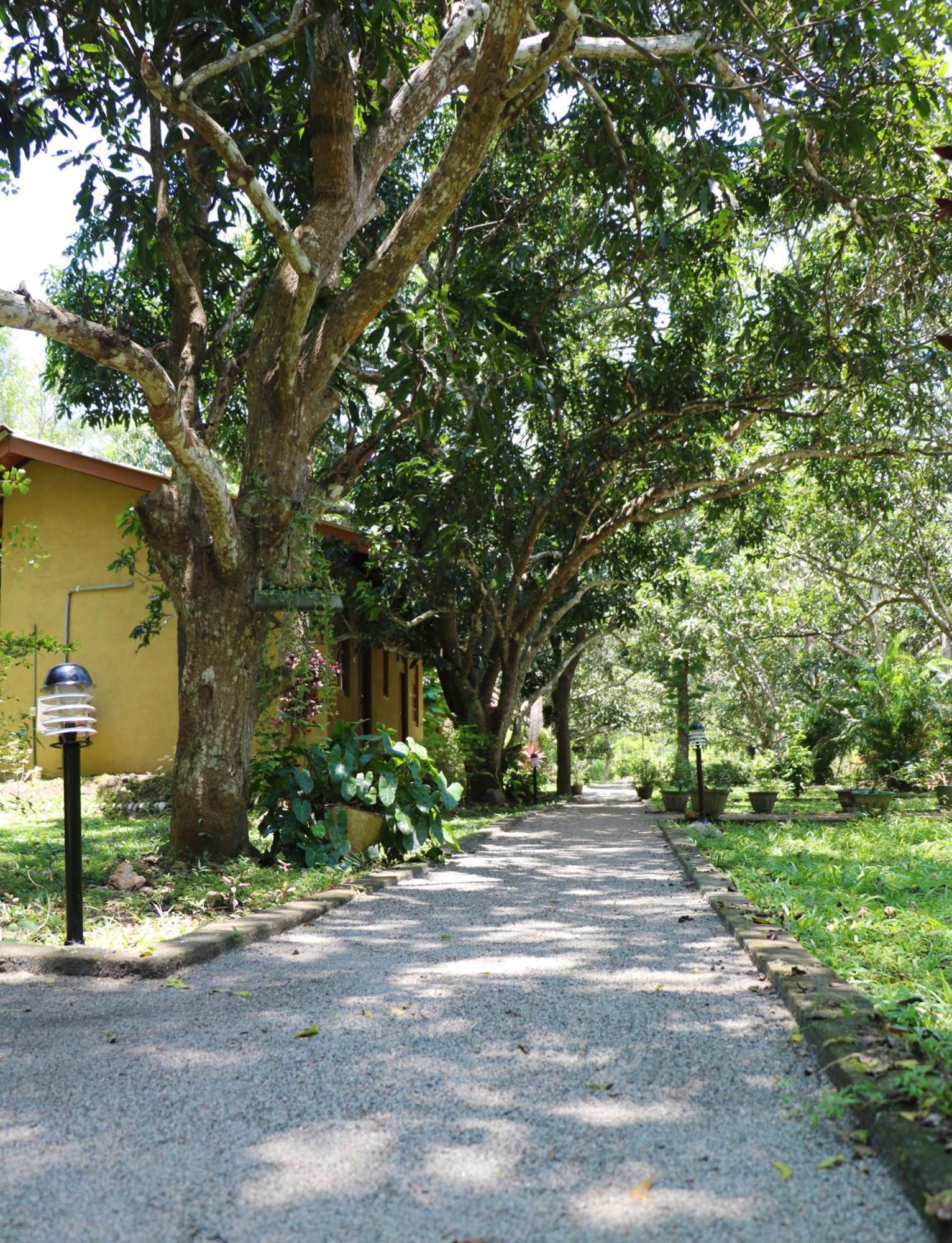 Bissa Villa Habarana Exterior photo