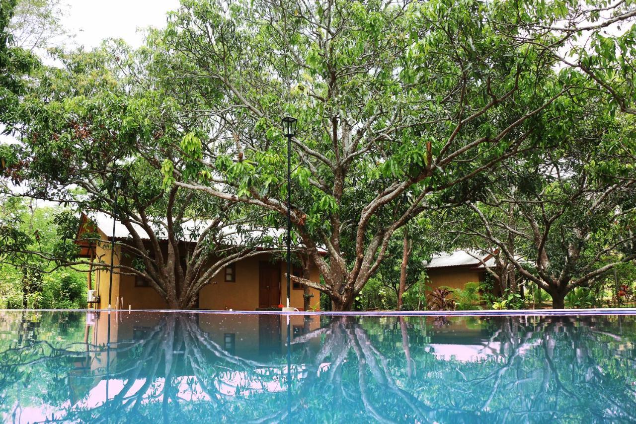 Bissa Villa Habarana Exterior photo
